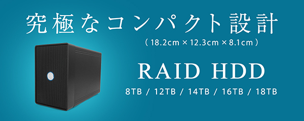RAID HDD